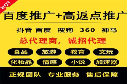 关键词竞价排名策略案例分析